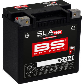 BS BATTERY Battery - BGZ16H 300931