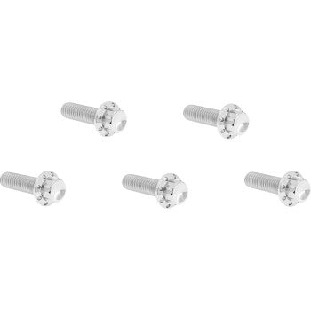 ARLEN NESS Bolt Kit - Derby Cover - 12-Point - Titanium - Polished 300-923