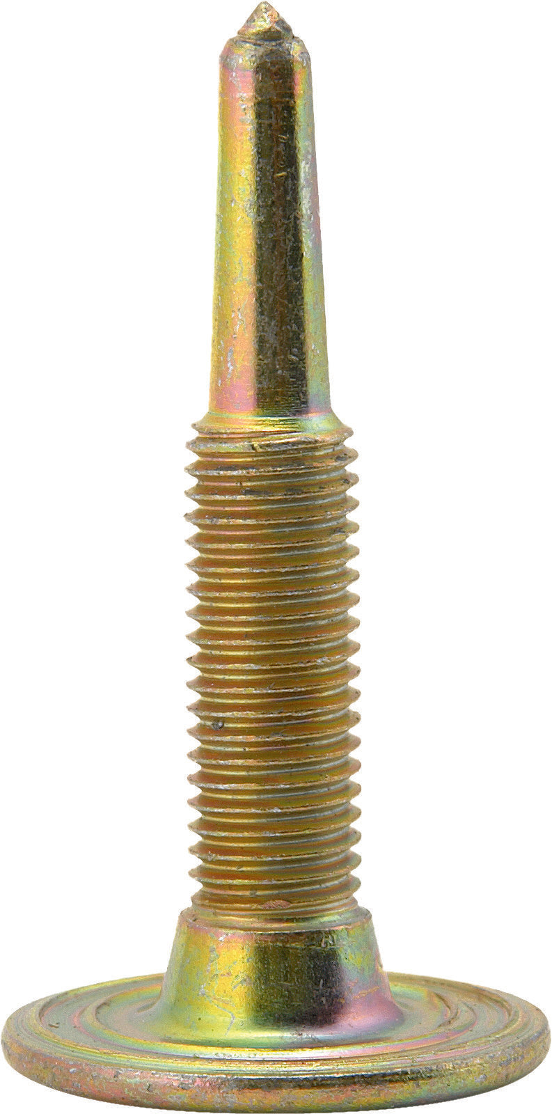 49d5-5b2bf79868ad9.jpg