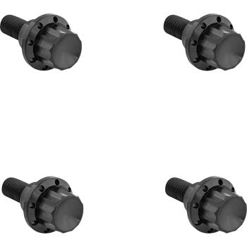 ARLEN NESS Bolt Kit - Windshield - 12-Point - Titanium - Black 300-810