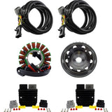 RM STATOR Charging Kit - Polaris RMS900-106872