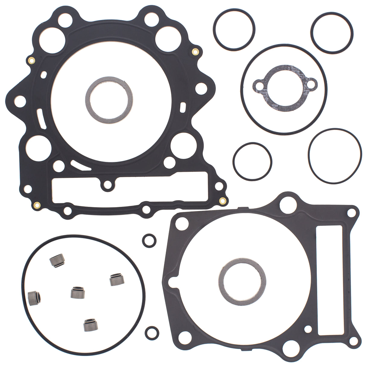 4f98-61e203c9d74d6.jpg