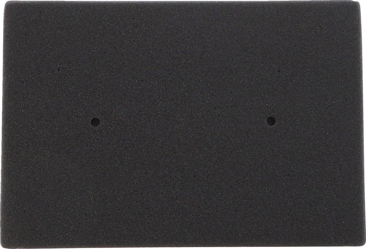 EMGO Air Filter - Kawasaki 12-93016