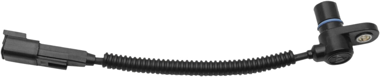 559d-5de136a28e7af.jpg