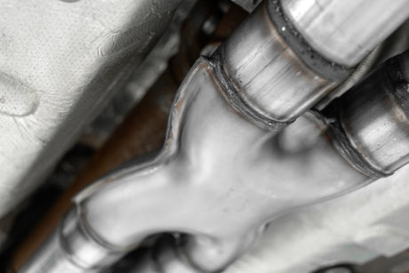 Photo - Close Up