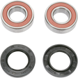 PIVOT WORKS Wheel Bearing Kit - Rear - Kawasaki PWRWK-K05-521