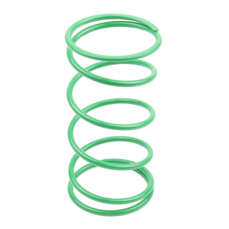 Athena BSV DIO GP 50 25Kg Green Contrast Spring (Bore 50mm) 70496