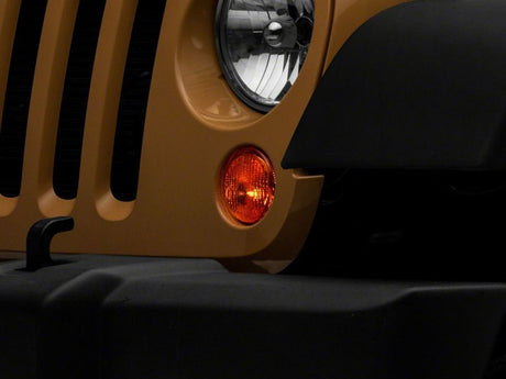Photo - Close Up