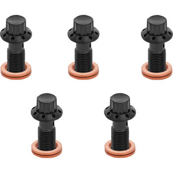 ARLEN NESS Bolt Banjo 5-Pk 12 Point 3/8-24 Black  300-855