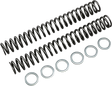 RACE TECH Fork Springs - 1.00 kg/mm FRSP S4031100