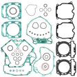 5af2-58c66a181de3c.jpg