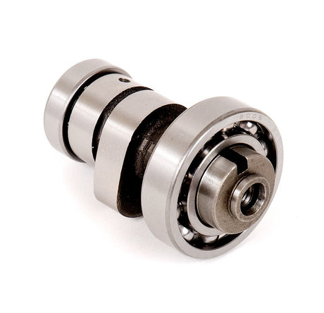 5eb6-5cc8a15fa7444.jpg