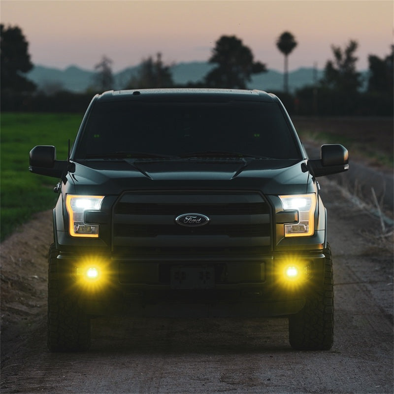 Rigid Industries D-Series SAE Fog Yellow/White Pair 50482