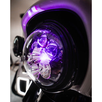 CUSTOM DYNAMICS Headlight - Shark Demon® - LED - Color Changing SD2-7-14