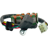 RICK'S MOTORSPORT ELECTRIC Stator Rmz450 21-829