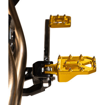 THRASHIN SUPPLY CO. Aggressor Foot Pegs - Rear - Gold - HD '72-'25 TSC-2022-5-D