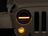 Photo - Close Up