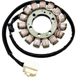 RICK'S MOTORSPORT ELECTRIC Stator Kawasaki 21-248