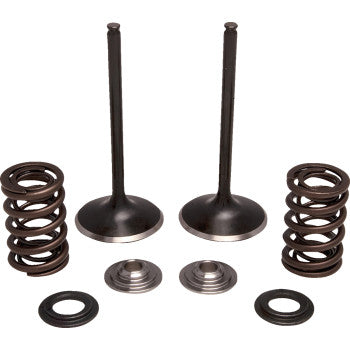 MOOSE OFFROAD Valve and Spring Kit - Intake - Honda M30-34350