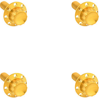 ARLEN NESS Bolt Kit - Windshield - Titanium - 12-Point - Gold 300-841