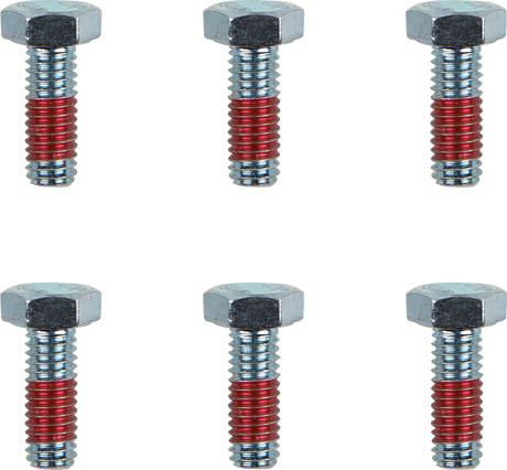 MOTO-MASTER Bolts - Rotor - M6 x 17 12021-PU