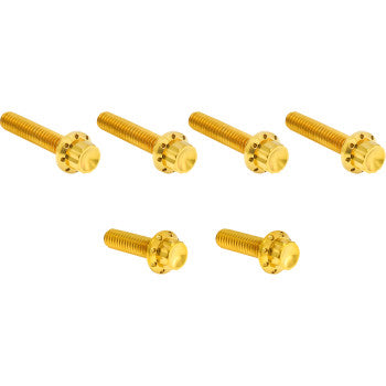 ARLEN NESS Bolt Kit - Cable Clutch - Titanium - 12-Point - M8/Twin Cam - Gold 300-705