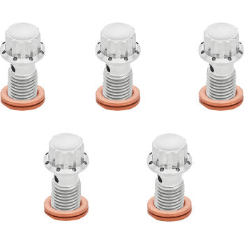 ARLEN NESS Bolt Banjo 5-Pk M12x1.25 Polished 12-Pt Dual F/R Mc Softail 300-863