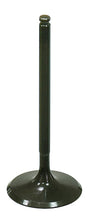 7ef5-5cf174464d7e9.jpg