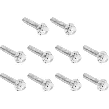 ARLEN NESS Bolt Kit - Cam Cover/Point Cover - Titanium - 12-Point - Polished 300-986