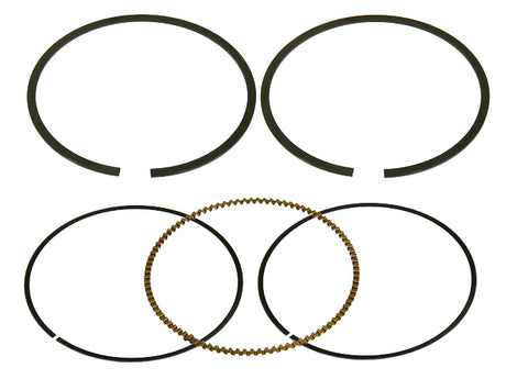 80ed-5e99baf34cfc5.jpg