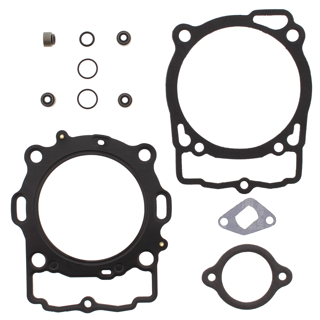 8160-60abd46a44701.png