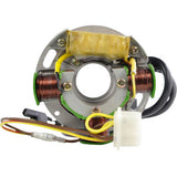 RM STATOR Stator and CDI Box Kit - Polaris RMS900-108214