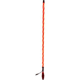 WHIPITLIGHTRODS 5' Whip Light Rod - Bluetooth® - RGB SB-CHSBTR-151-V2