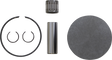 PROX Piston Kit 01.5699.050