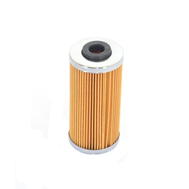 Athena 09-10 BMW G 450 X 450 Oil Filter FFC047