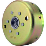 RM STATOR Stator and Flywheel Kit - Yamaha RMS900-107872