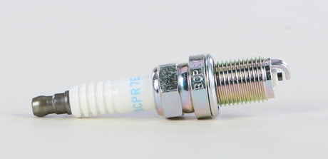 8bc9-585c56fdcecb4.jpg