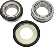 PIVOT WORKS Steering Stem Bearing Kit PWSSK-Y05-421