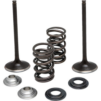 MOOSE OFFROAD Valve and Spring Kit - Exhaust - Suzuki M60-62260