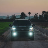 Rigid Industries D-Series SAE Fog Yellow/White Pair 50482
