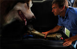 Photo - Primary