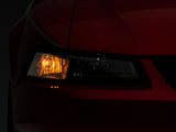 Photo - Close Up