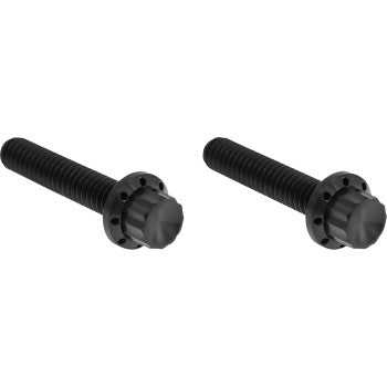 ARLEN NESS Bolt Kit - Hydraulic Clutch - Titanium - 12-Point - M8/Twin Cam - Black 300-707