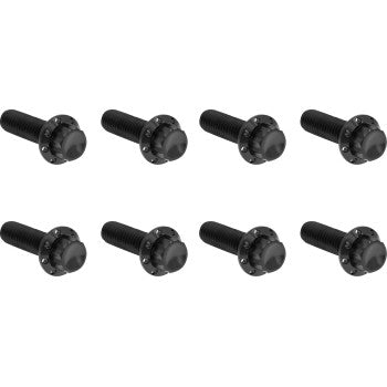 ARLEN NESS Bolt Kit - Trap Door - Titanium - 12-Point - M8/Twin Cam - Black 300-710
