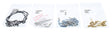 9ffe-5d13cb247ae9b.jpg