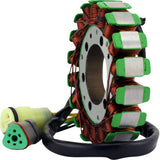 RM STATOR Stator and Pickup Coil Kit - Ski-Doo RMS900-108203