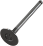 PROX Intake Valve 28.1070-2