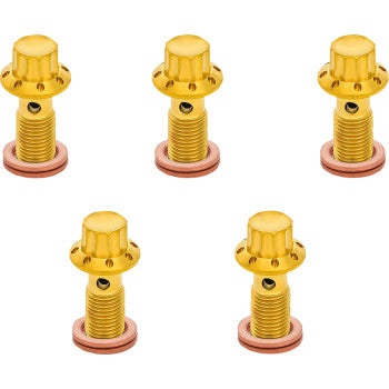ARLEN NESS Bolt Banjo 5-Pk 12 Point 3/8-24 Gold  300-856