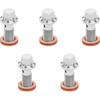 ARLEN NESS Bolt Banjo 5-Pk 12 Point 3/8-24 Polished 300-854