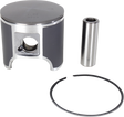 PROX Piston Kit 01.5699.100
